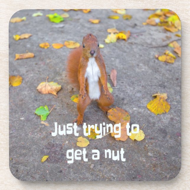 squirrel Just trying to get a nut Getränkeuntersetzer (Vorderseite)