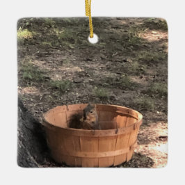 Squirrel  keramikornament