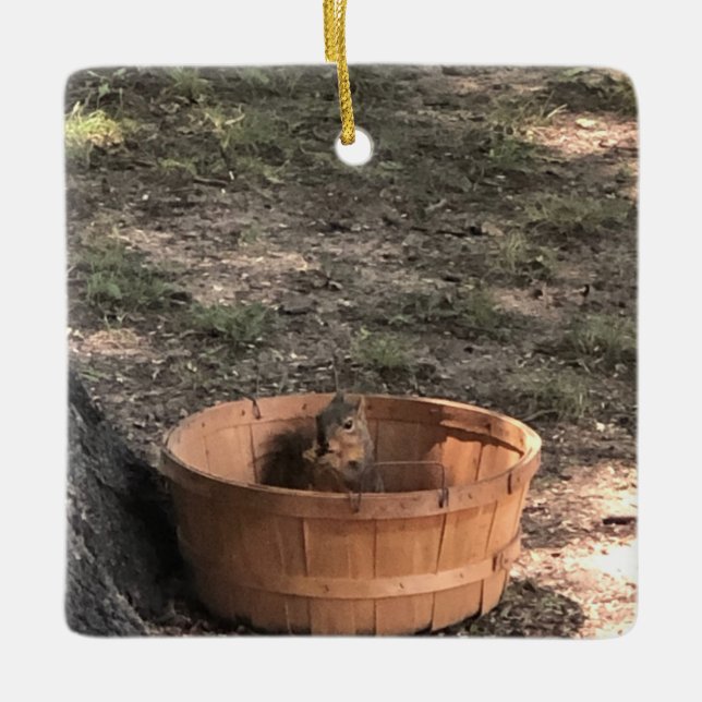 Squirrel  keramikornament (Vorderseite)