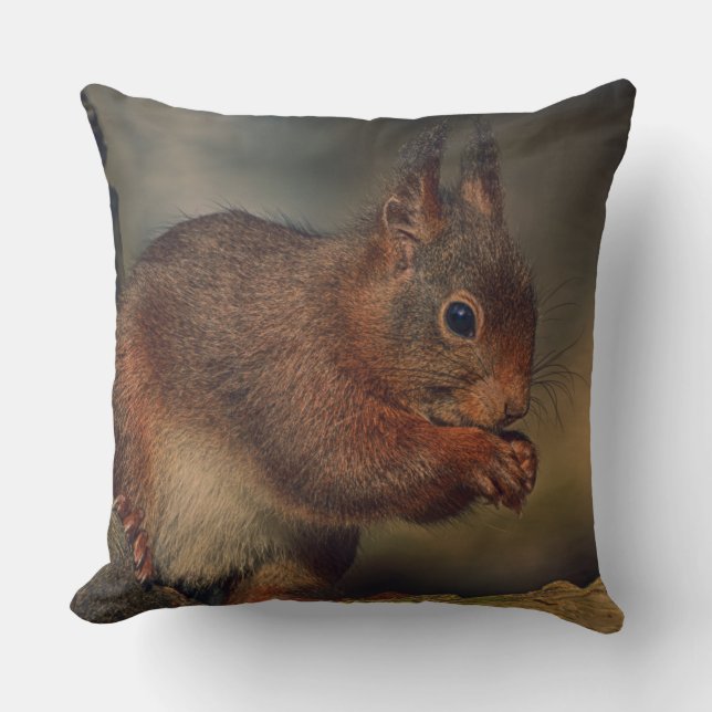 Squirrel Kissen (Vorderseite)