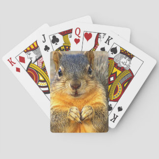 Squirrel Love_ Spielkarten