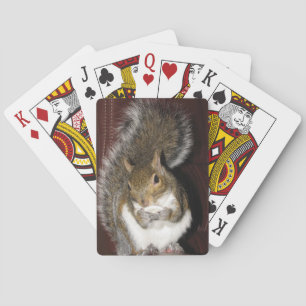 Squirrel Playing Cards Spielkarten