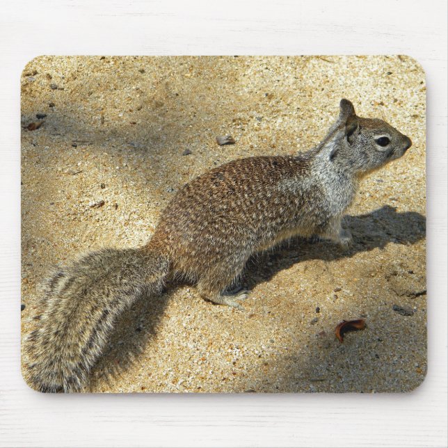 Squirrell Mousepad (Vorne)