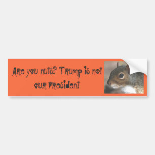 Squirrelly sind Sie Nuts! Trumpf ist nicht unser Autoaufkleber