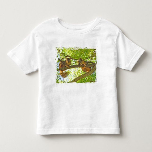 Squirrels den T - Shirt des aufpassenden Kindes (Vorderseite)