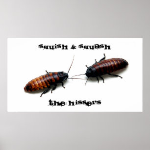 Squish u. Kürbis, das Hissers Poster
