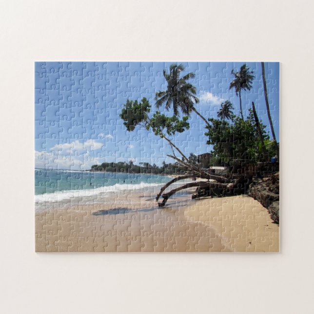Sri-lanka-Strand (Horizontal)