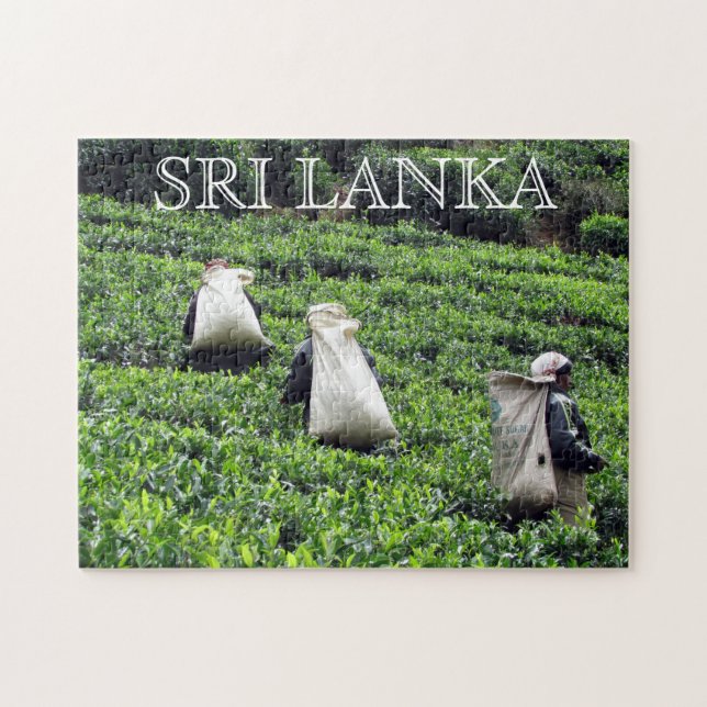 Sri-lanka-Teehersteller (Horizontal)