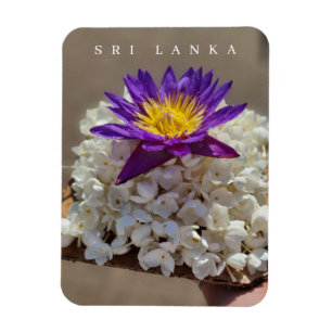 Sri Lanka Tempel-Blume bietet Kühlschrankmagnet Magnet