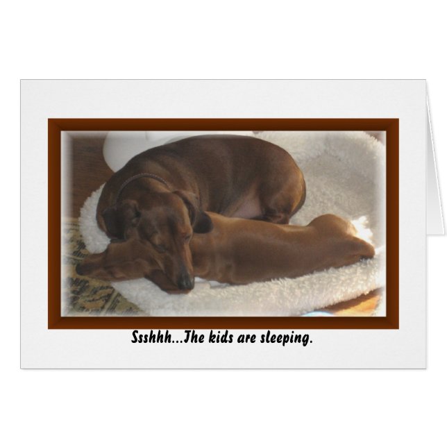 Ssshhh… les enfants dorment (Devant Horizontal)