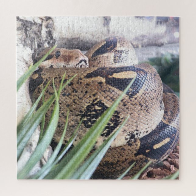 Sssnooze Puzzle (Vertikal)