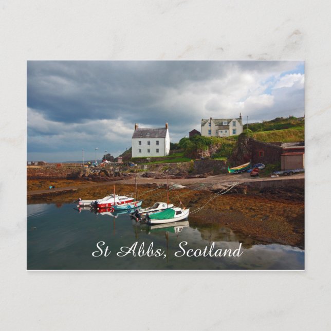 St Abbs, Schottland, Postkarte (Vorderseite)