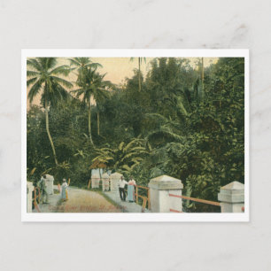 St. Andrew, Tom's River Bridge, Jamaika Vintag Postkarte