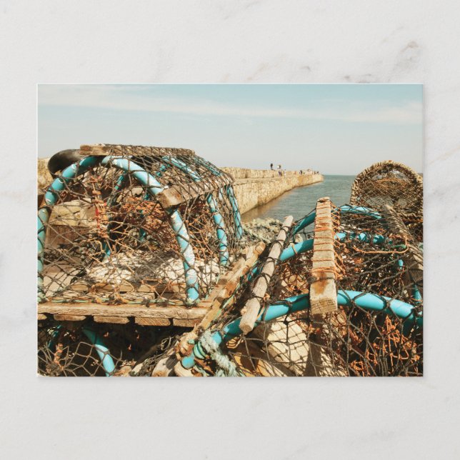 St Andrews Harbor Postkarte (Vorderseite)