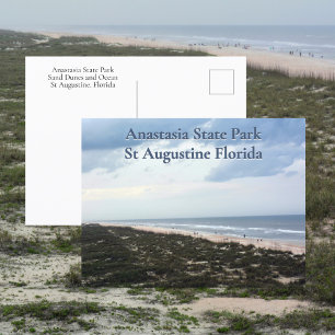 St Augustine FL Anastasia State Park Fotografie Postkarte