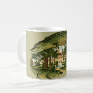 St. Augustine FL Tasse