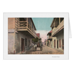 St. Augustine, Florida - Aussicht auf Charlotte St