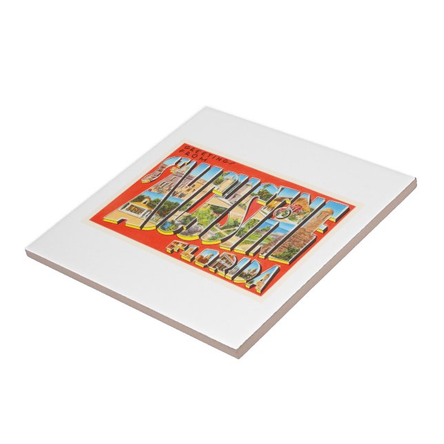 St. Augustine Florida FL Wanderung Fliese (Seite)