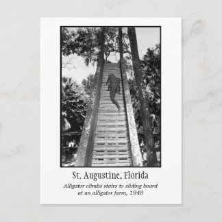 St. Augustine Retro-Alligator Postkarte