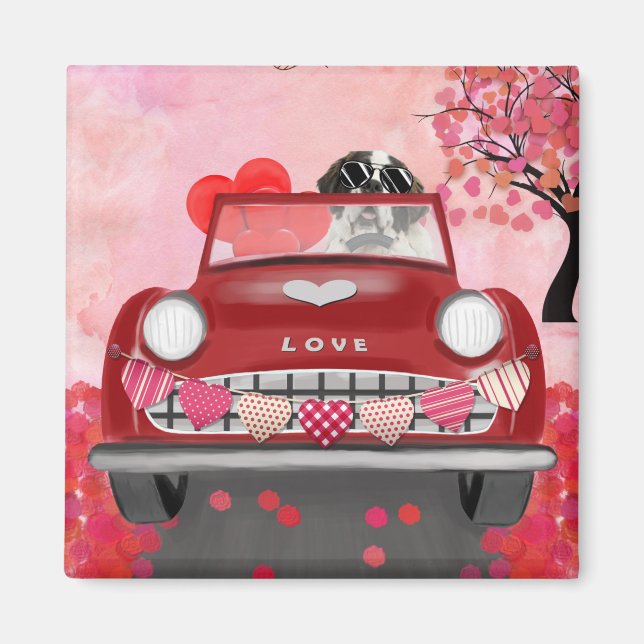 St. Bernard Dog Car mit Herzvalentiner Magnet (Vorne)