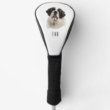 St Bernard