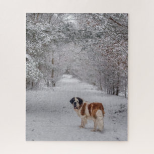 St. Bernard Hund im Schnee