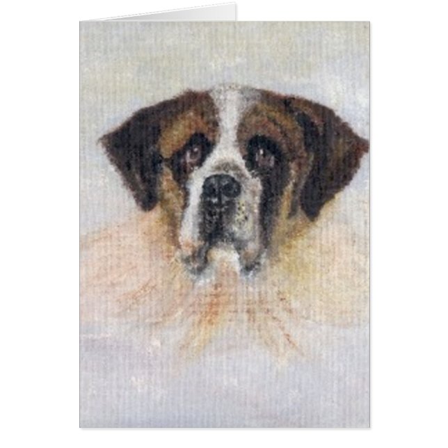 St Bernard Lucy (Devant)