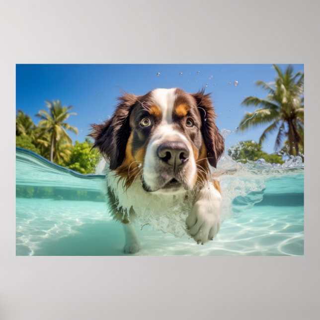 St. Bernard Pet Hund Tierspass Spielen Poster (Vorne)