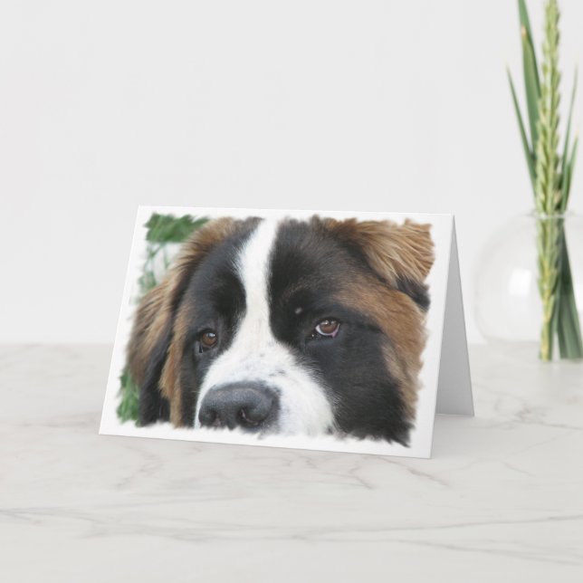 St Bernard Puppies Grußkarte Karte (Vorderseite)