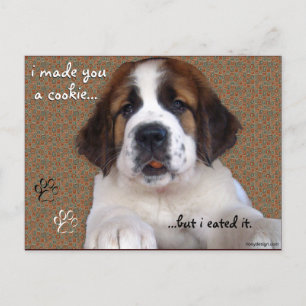 St Bernard Puppy Cookie Postkarte