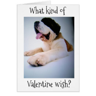 ST. BERNARD SENDET "HUGE" VALENTINE WISHES