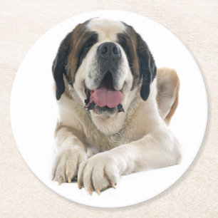 St. Bernhard Geschenk Welpen Hundeliebhaber St. Be Runder Pappuntersetzer