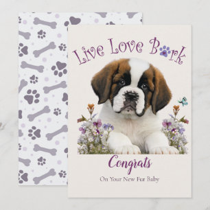 St.-Bernhard-Hunde Adoption, Gotcha-Tag Karte