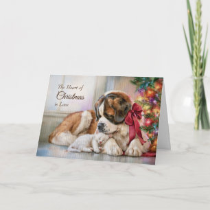 St. Bernhard Katzenkind Weihnachten