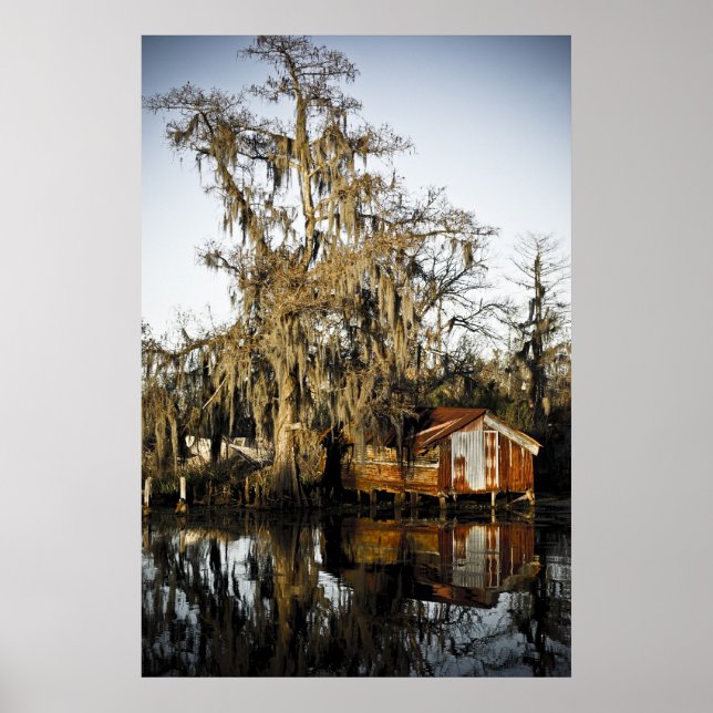 St Charles Parish Swamp Reflections Poster (Vorne)
