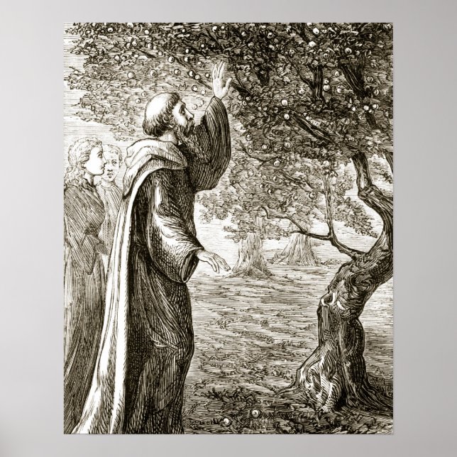 St. Columba verwandelt bittere Früchte in süße, vo Poster (Vorne)
