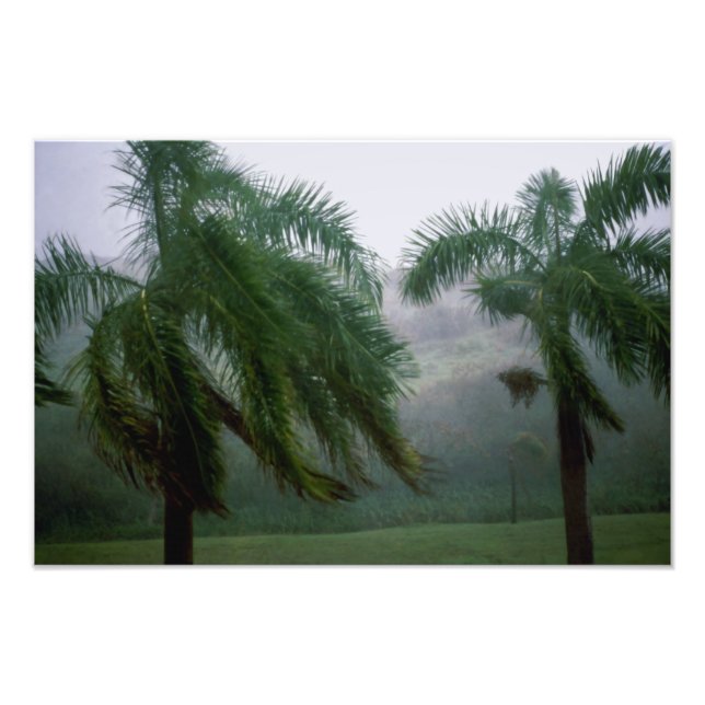 St. Croix Tempest Fotodruck (Vorne)