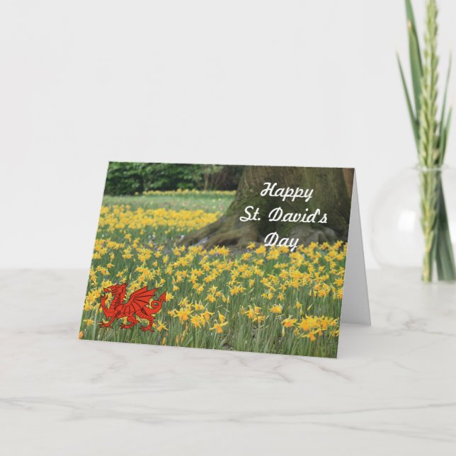 St. David's Day Daffodils Karte (Vorderseite)
