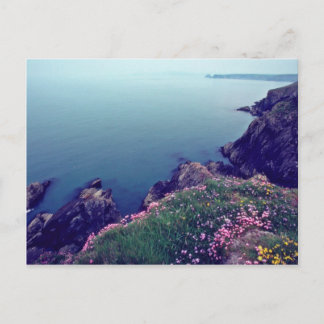 St. David's Head, Westernster Point of Wales Blume Postkarte