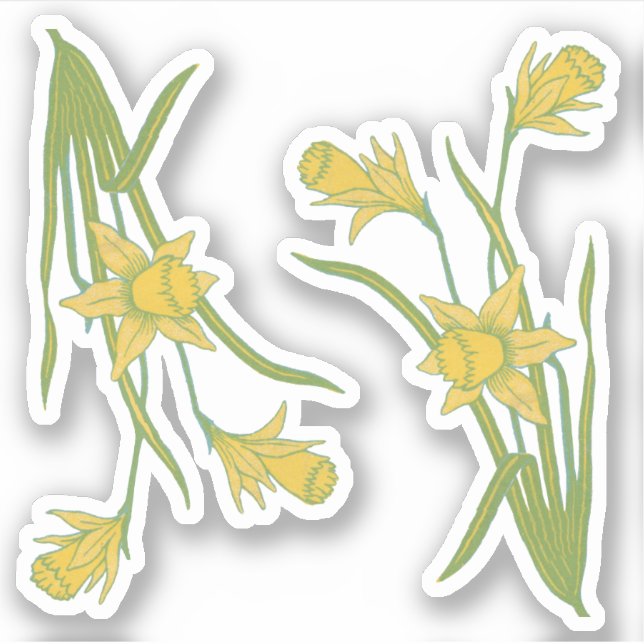 St. David's oder St. Piran's Day Daffodils (fL) - Aufkleber (Vorderseite)