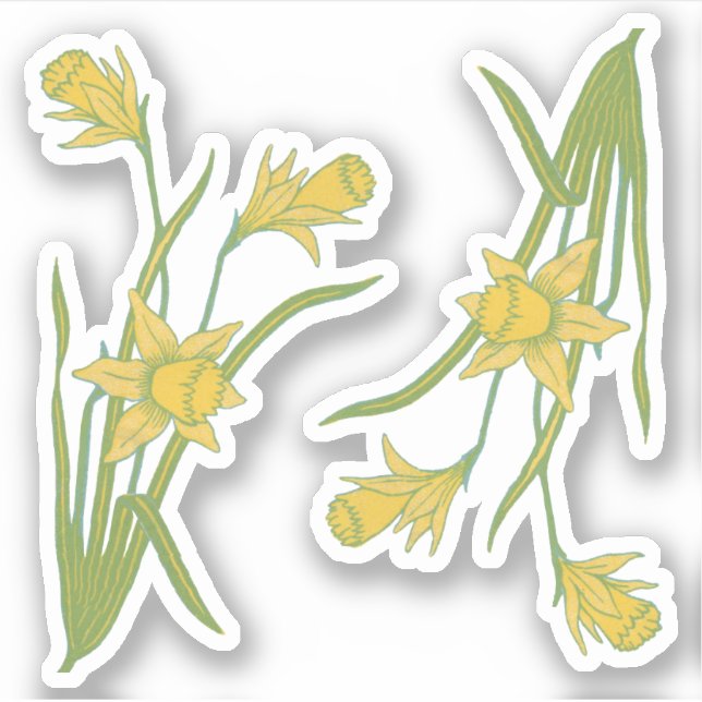 St. David's oder St. Piran's Day Daffodils (fR) - Aufkleber (Vorderseite)