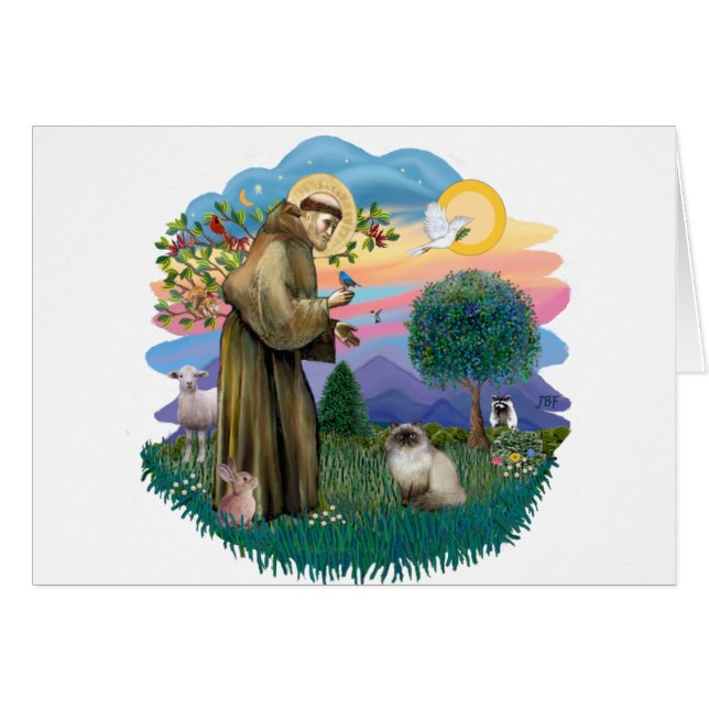 St. Francis (ff) - Siegel Point Himalayan cat (Vorderseite (Horizontal))