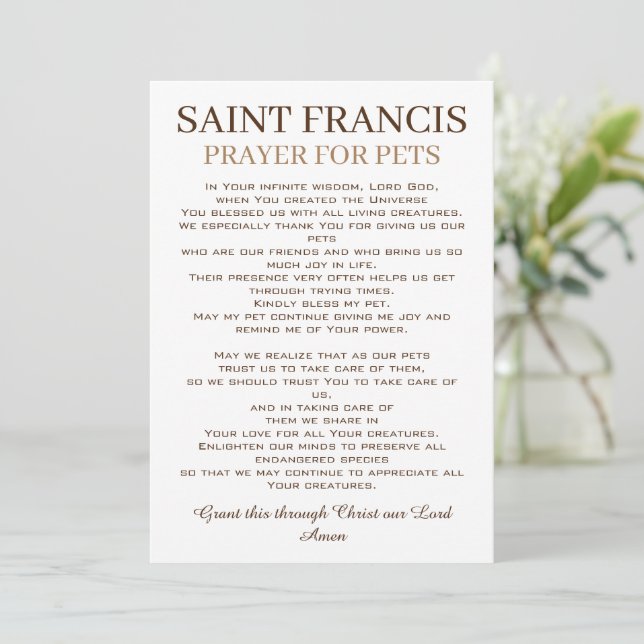 St. Francis Gebet für Haustiere Flachkarte (Stehend Vorderseite)