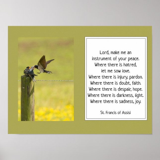 St. Francis von Assisi Gebet mit der Vogelfamilie Poster (Vorne)
