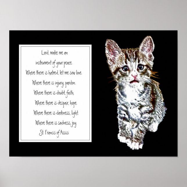 St. Francis von Assisi Gebet mit Sweet Kitten Cat Poster (Vorne)