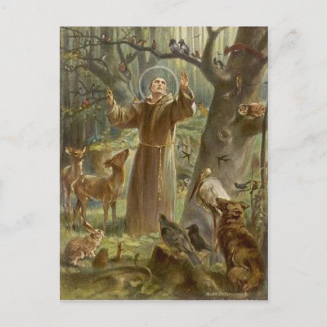 St. Francis von Assisi umgeben von Tieren Postkarte (Vorderseite)