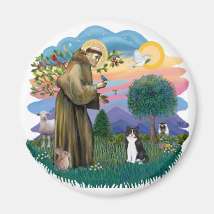 St. Franziskus (ff) - Schwarz-weiß-Katze Magnet