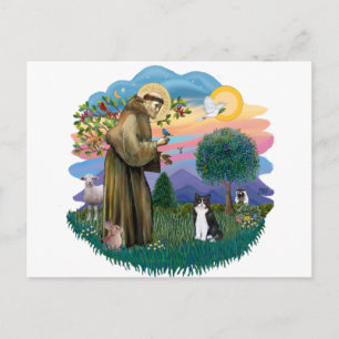 St. Franziskus (ff) - Schwarz-weiß-Katze Postkarte
