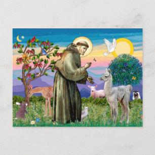 St. Franziskus und Llama-Baby Postkarte