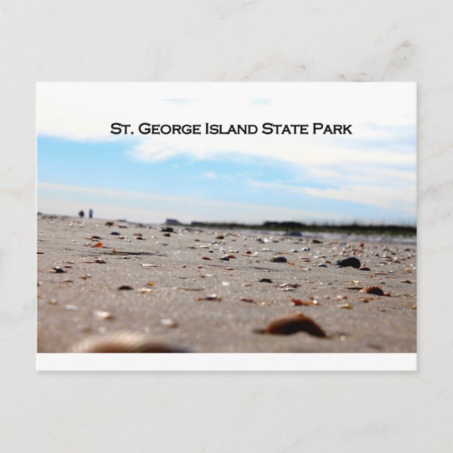 ST. GEORGE ISLAND STAAT PARK - FLORIDA POSTKARTE (Vorderseite)